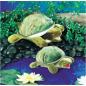 Preview: Folkmanis Handpuppe Kleine Schildkröte - 2521