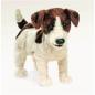 Preview: Folkmanis Handpuppe Jack Russel Terrier - 2848