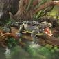 Preview: Folkmanis Handpuppe Amerikanischer Alligator - 2921