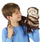 Preview: Folkmanis Handpuppe Frettchen - 2843