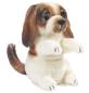 Preview: Folkmanis Fingerpuppe Mini Hund - 2792