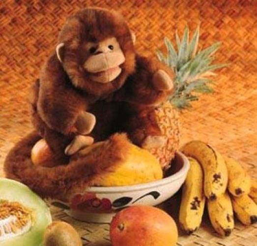 Folkmanis Handpuppe braunes Äffchen - 2123