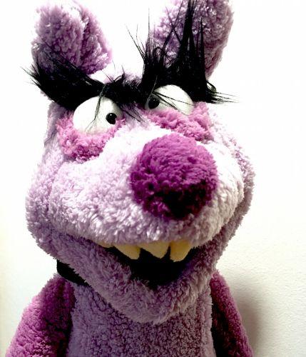 HandpuppePitbull Purzel aus der Wiwaldi Show