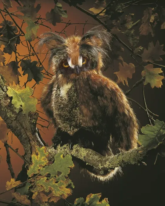 Folkmanis Handpuppe Eule, bewegliche Augendeckel / Great Horned Owl - 2403