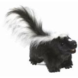 Folkmanis Handpuppe Stinktier - 2250