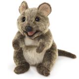 Folkmanis Handpuppe Quokka / Kurzschwanzkänguru - 3196